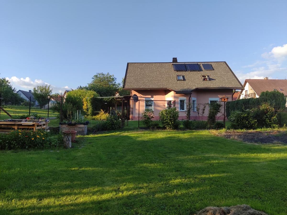 Pension Pia Cvikov Экстерьер фото